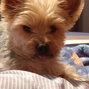 Meet your Posher, Liz